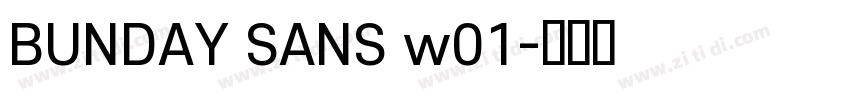 BUNDAY SANS w01字体转换